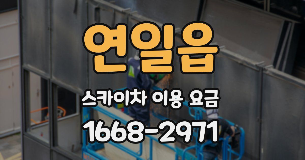 연일읍 스카이차 이용 요금
