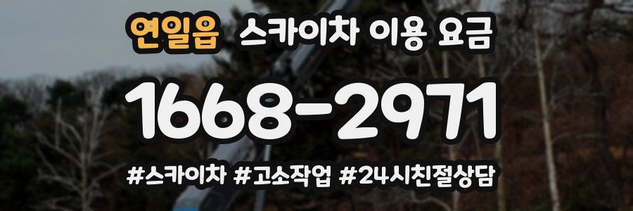 연일읍 스카이차 이용 요금