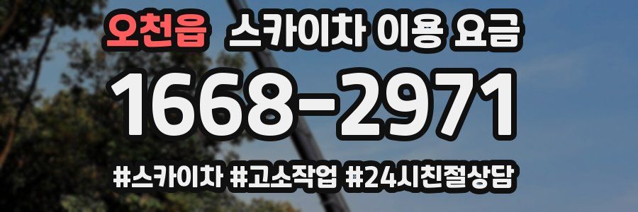 오천읍 스카이차 이용 요금