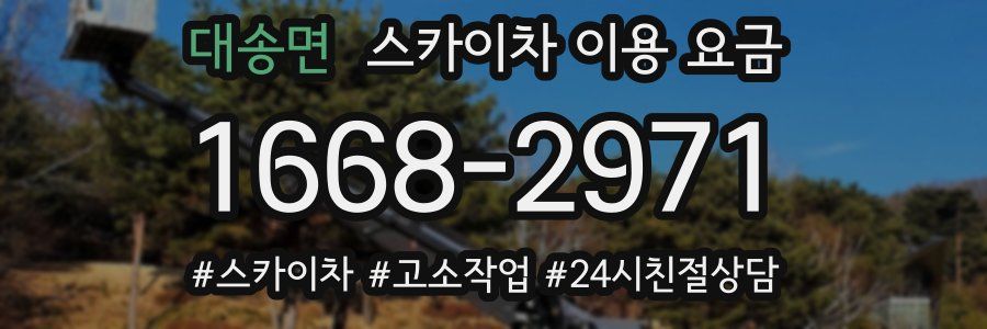 대송면 스카이차 이용 요금