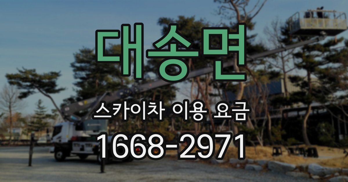 대송면 스카이차 이용 요금