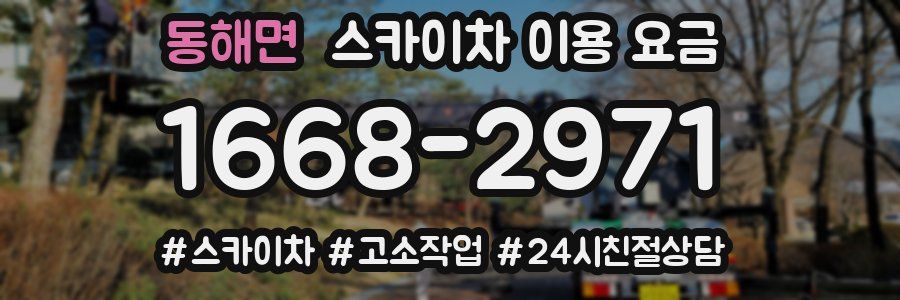 동해면 스카이차 이용 요금