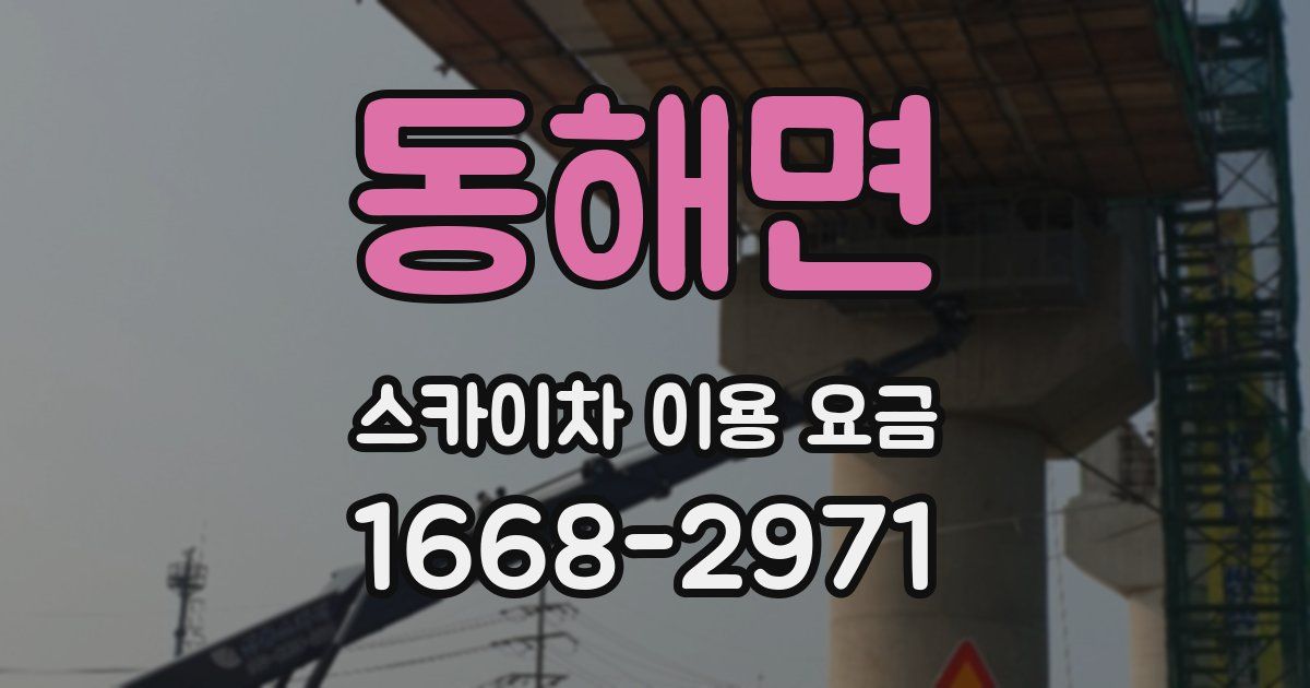 동해면 스카이차 이용 요금