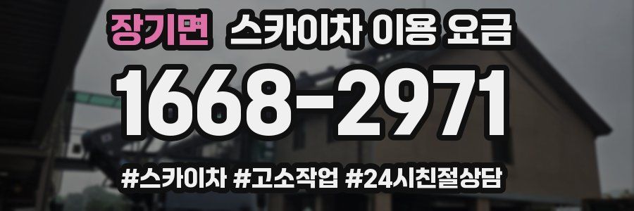장기면 스카이차 이용 요금