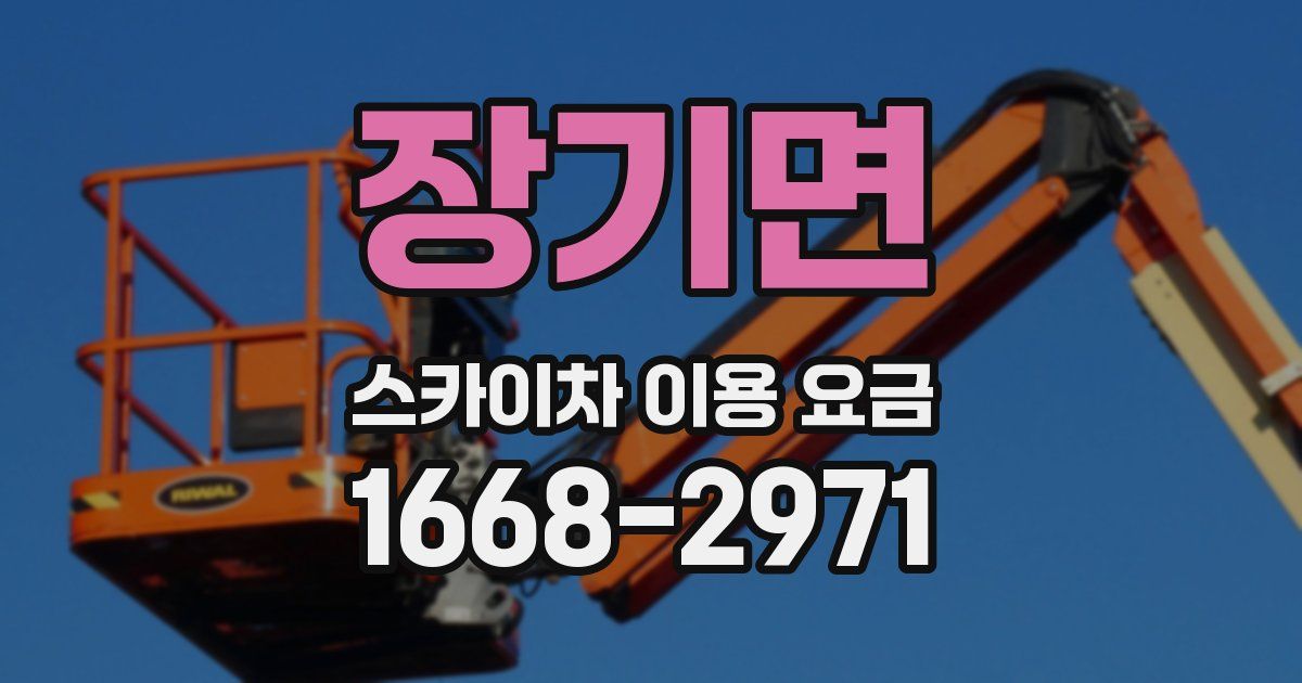 장기면 스카이차 이용 요금