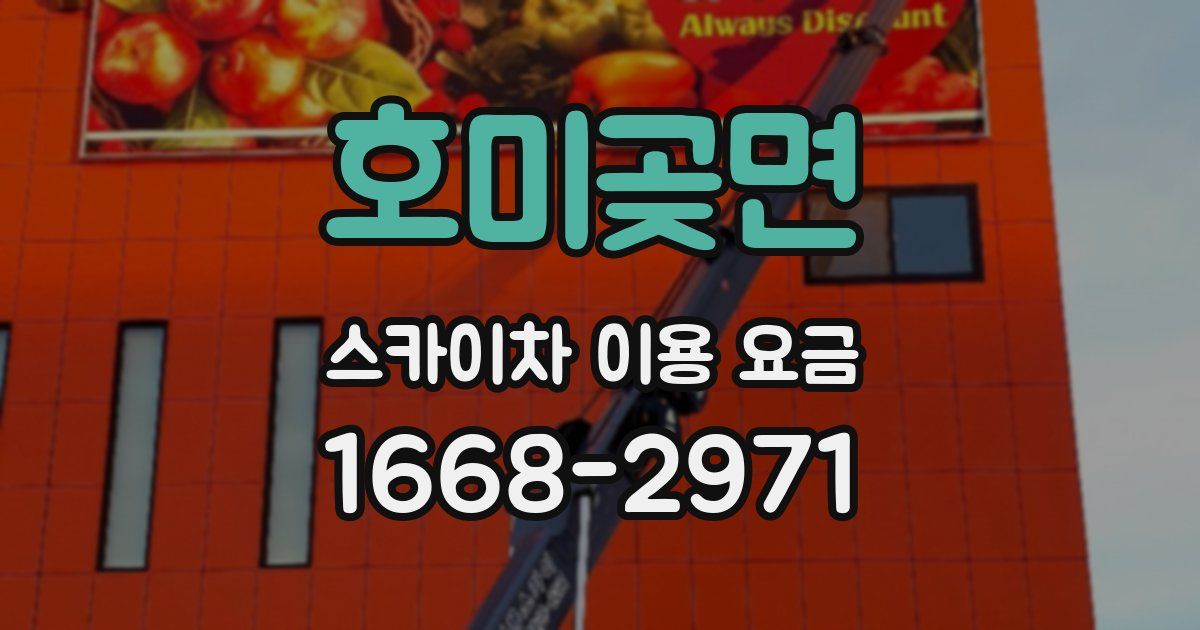 호미곶면 스카이차 이용 요금