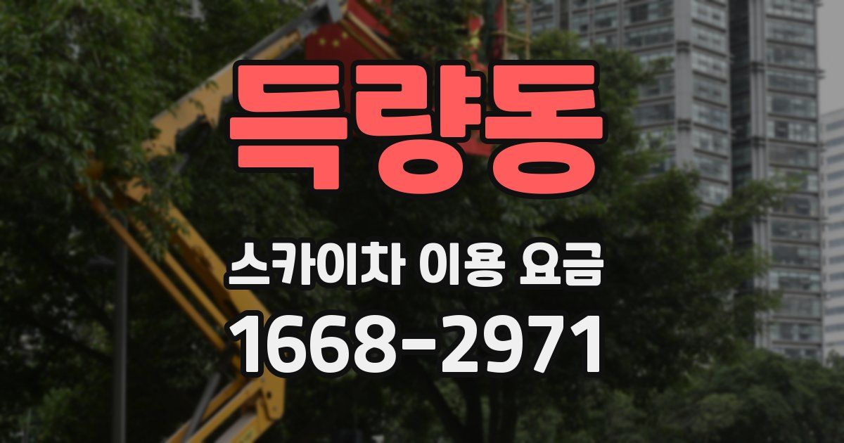 득량동 스카이차 이용 요금