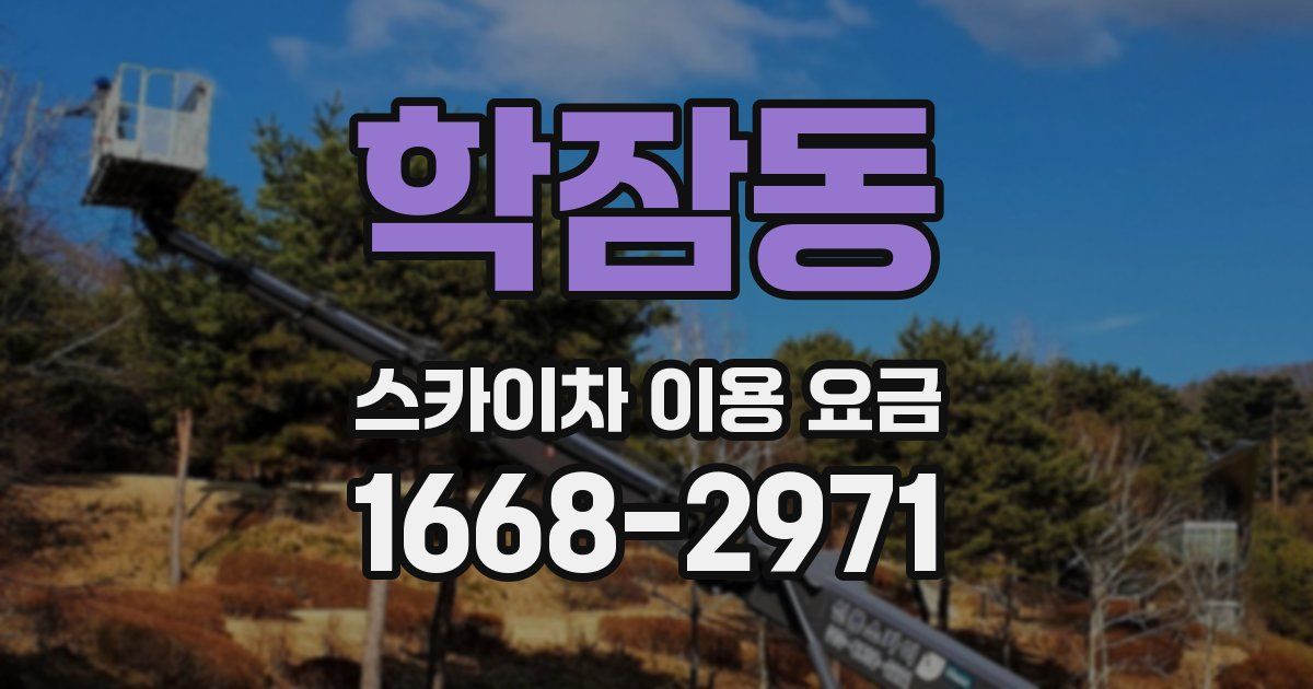 학잠동 스카이차 이용 요금