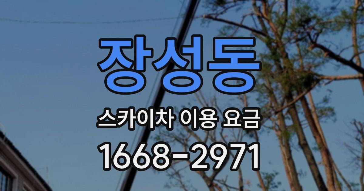 장성동 스카이차 이용 요금