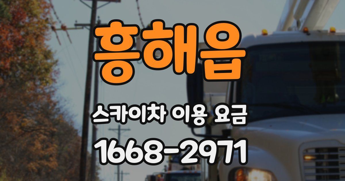 흥해읍 스카이차 이용 요금