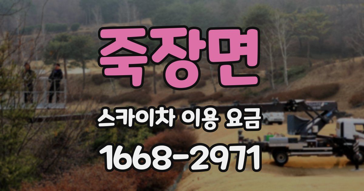 죽장면 스카이차 이용 요금