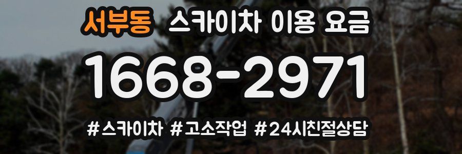 서부동 스카이차 이용 요금