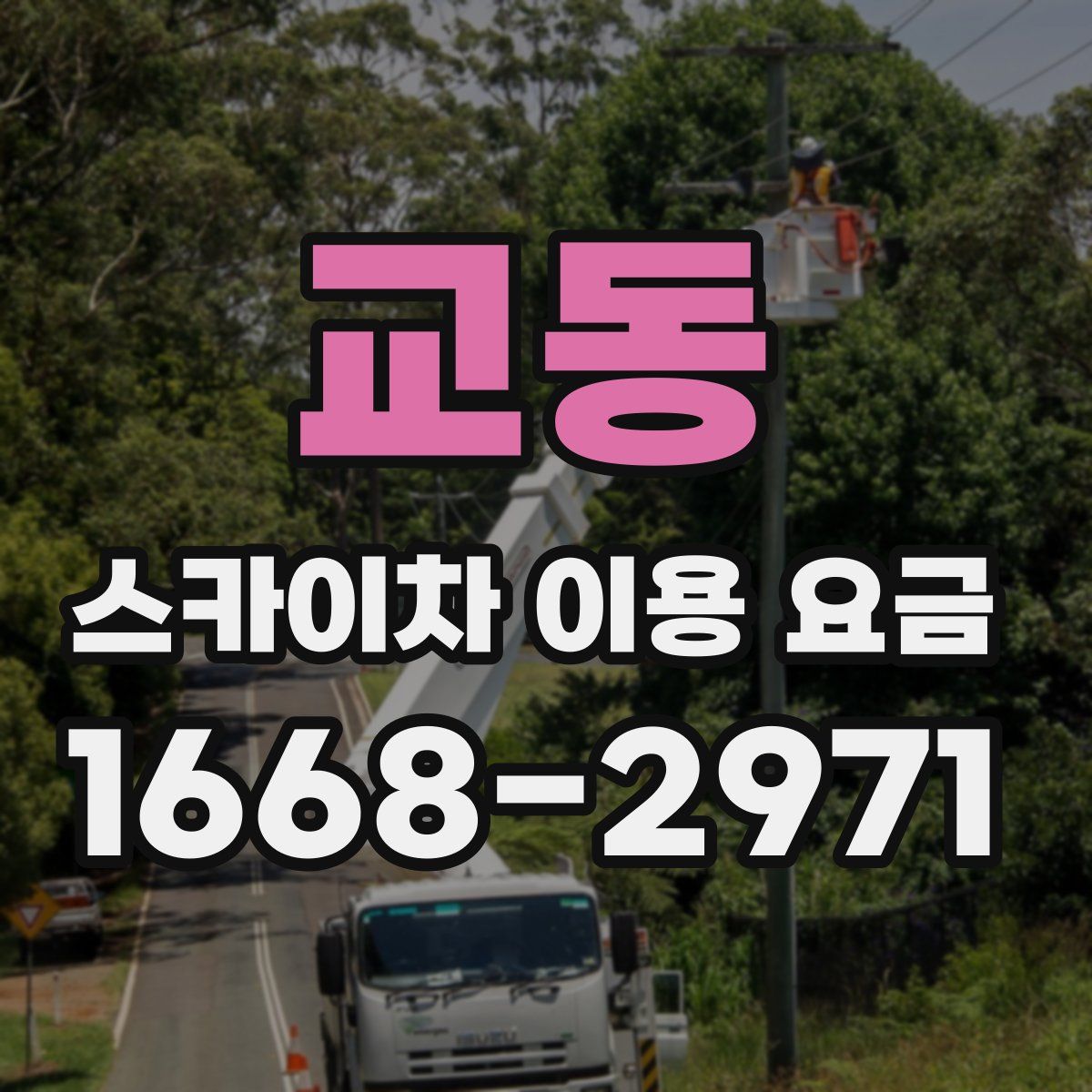 교동 스카이차 이용 요금