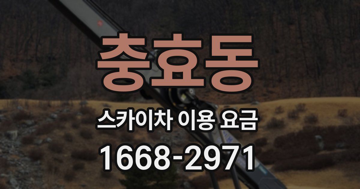 충효동 스카이차 이용 요금