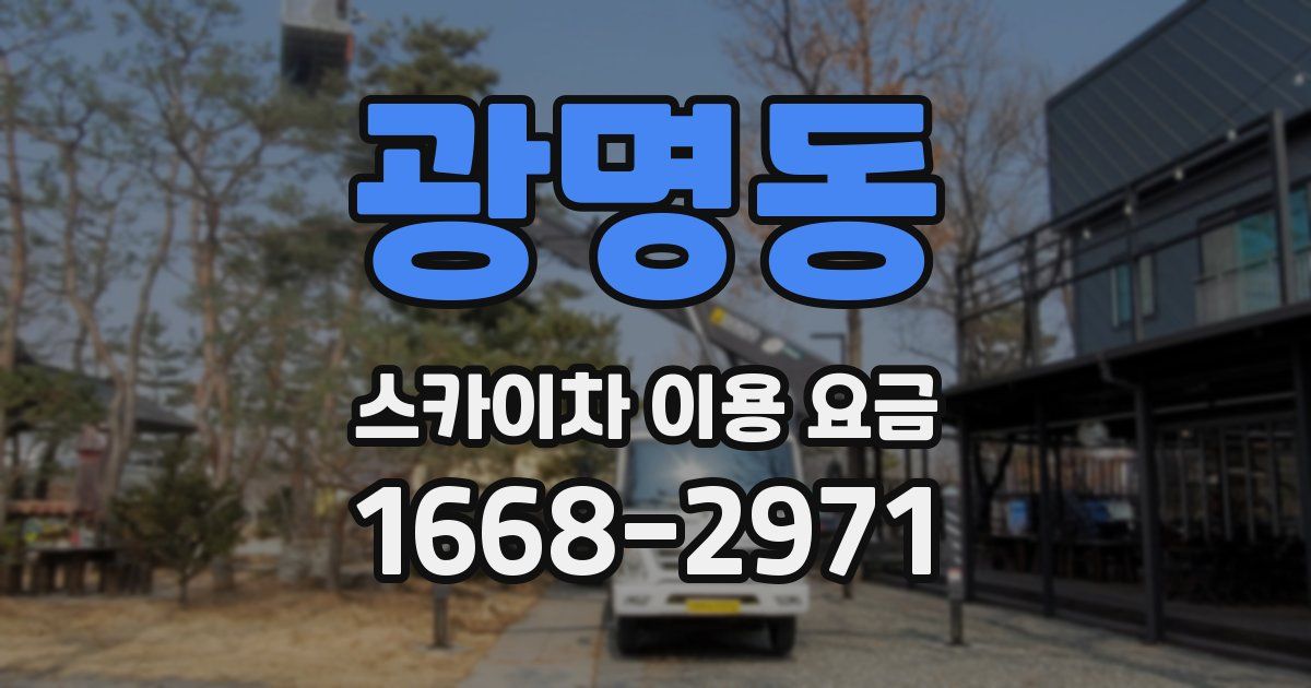 광명동 스카이차 이용 요금