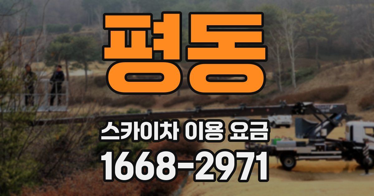 평동 스카이차 이용 요금