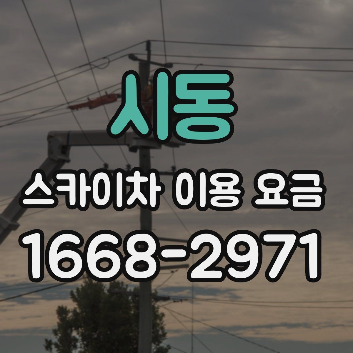 시동 스카이차 이용 요금 문의 전 정리하면 좋은 정보