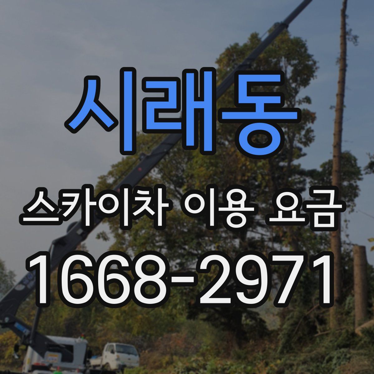 시래동 스카이차 이용 요금