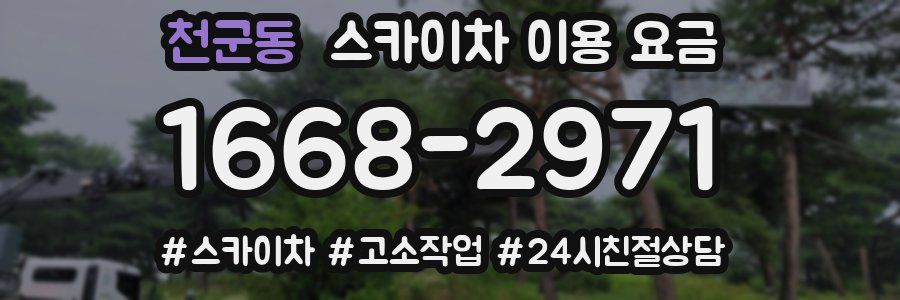천군동 스카이차 이용 요금