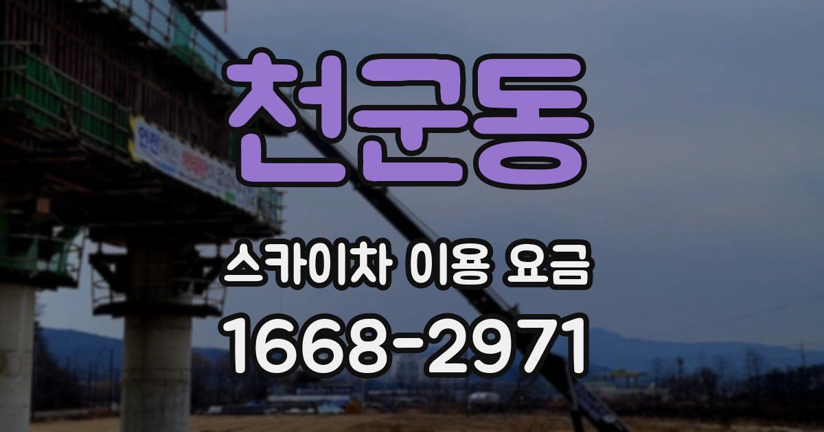 천군동 스카이차 이용 요금