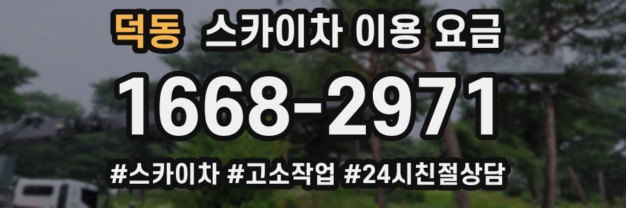 덕동 스카이차 이용 요금