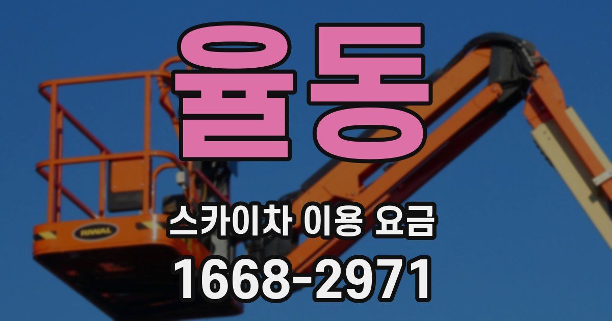 율동 스카이차 이용 요금
