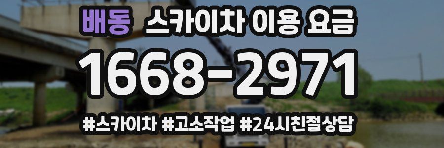 배동 스카이차 이용 요금