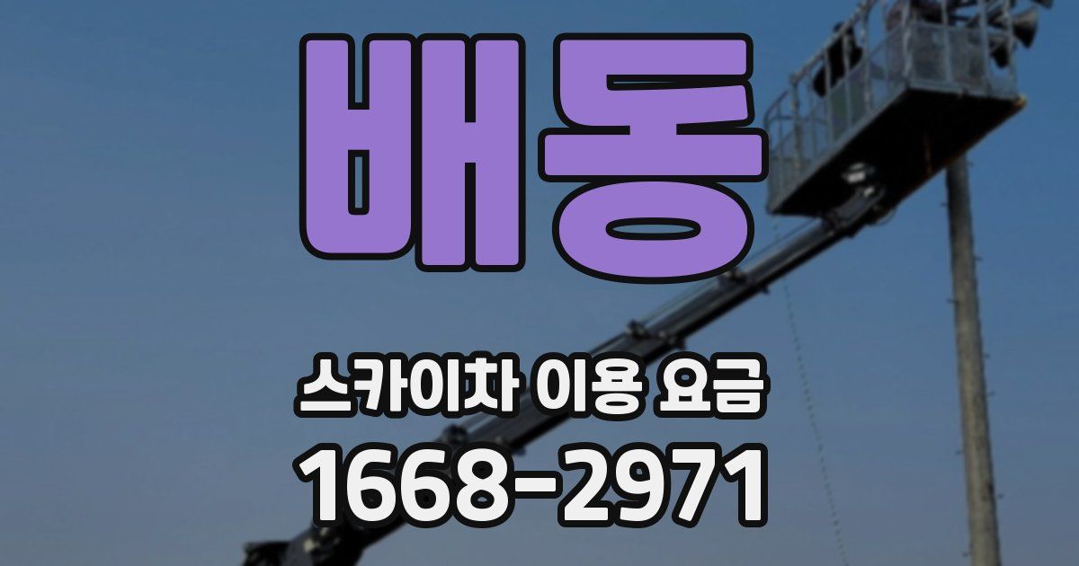 배동 스카이차 이용 요금