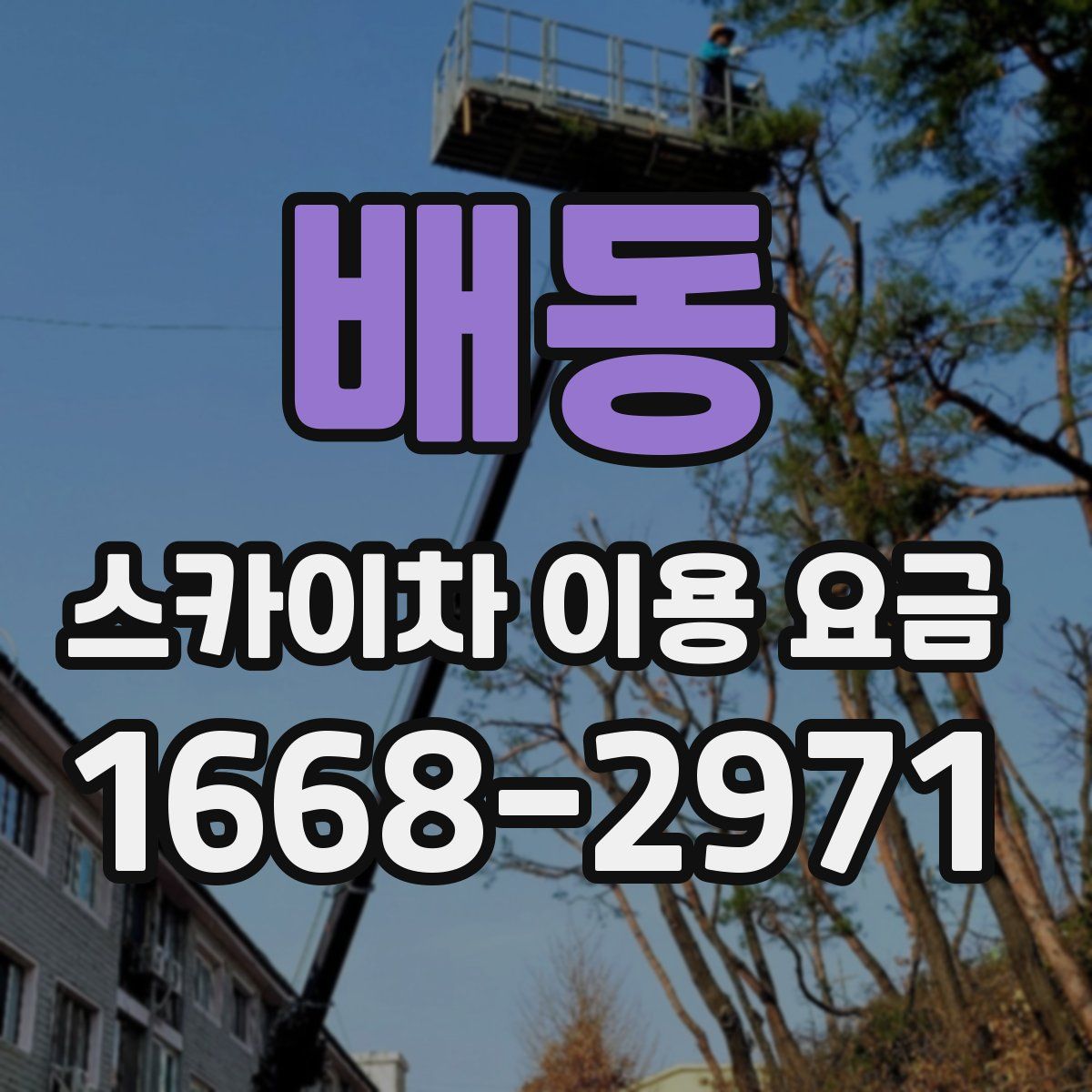 배동 스카이차 이용 요금