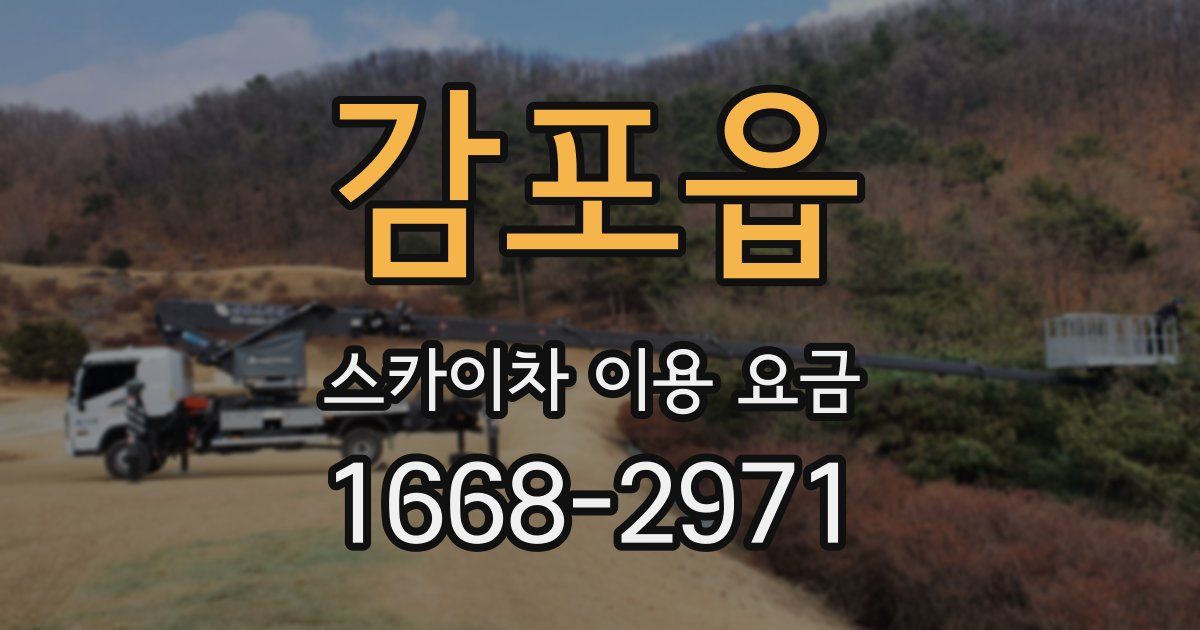 감포읍 스카이차 이용 요금