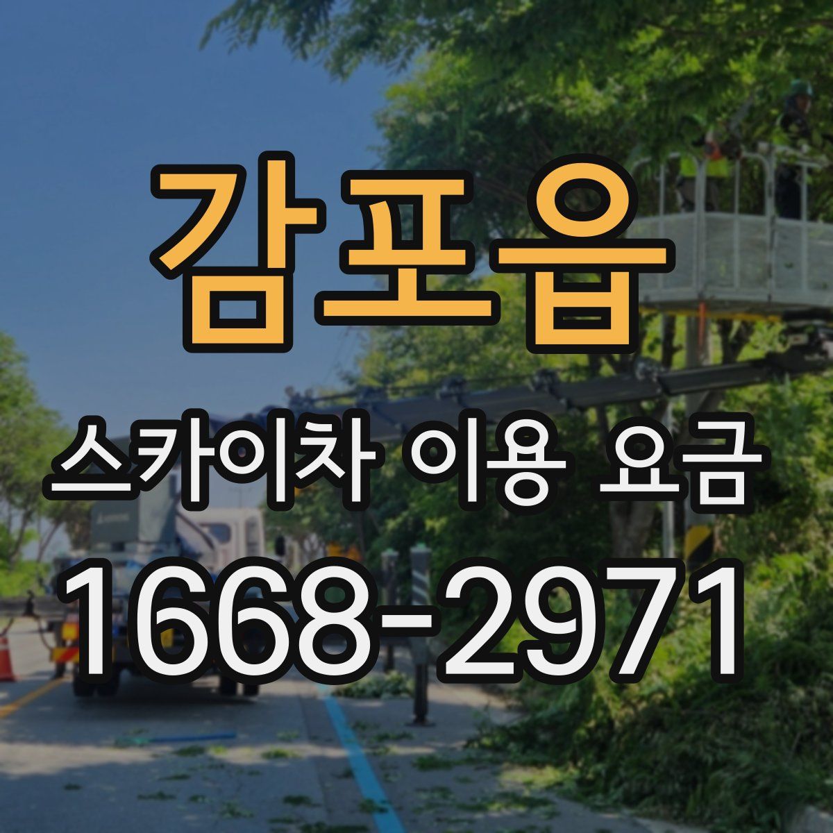 감포읍 스카이차 이용 요금