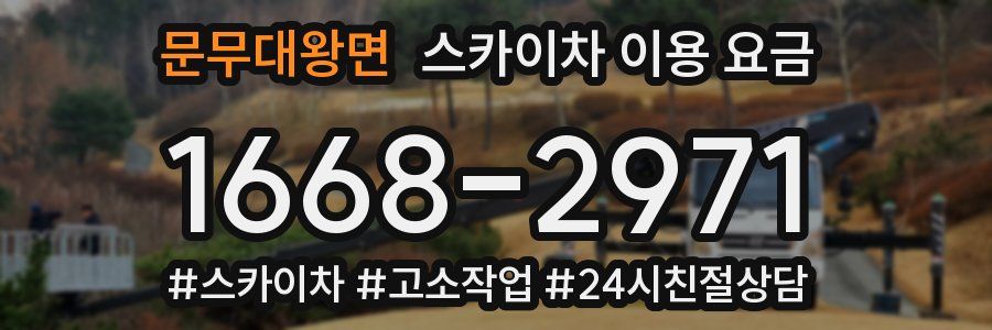 문무대왕면 스카이차 이용 요금