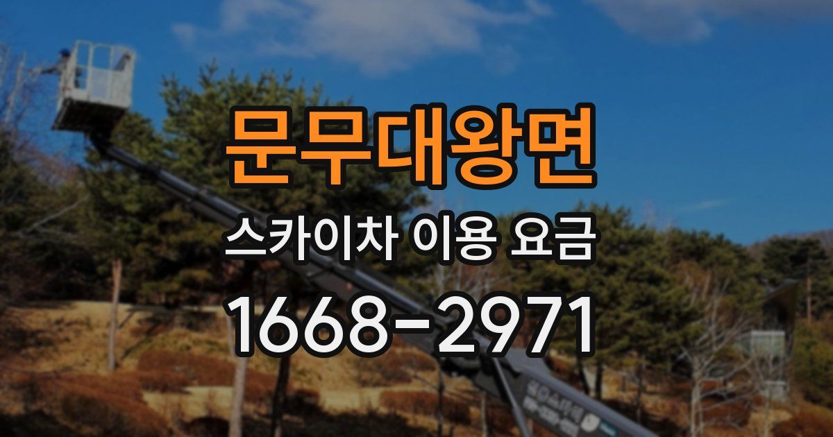 문무대왕면 스카이차 이용 요금