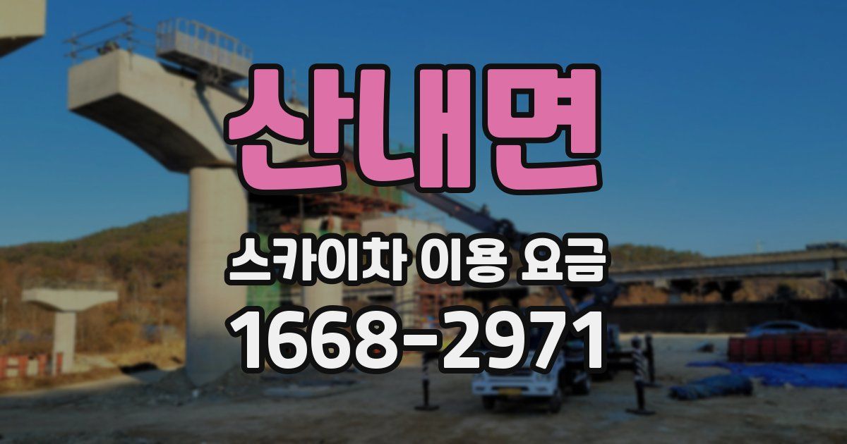 산내면 스카이차 이용 요금