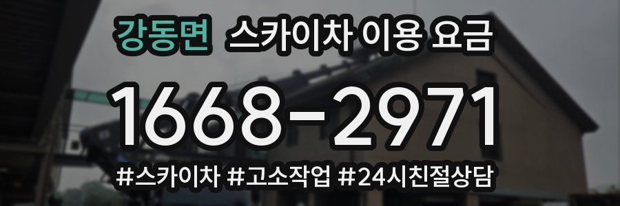 강동면 스카이차 이용 요금