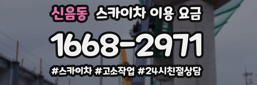 신음동 스카이차 이용 요금