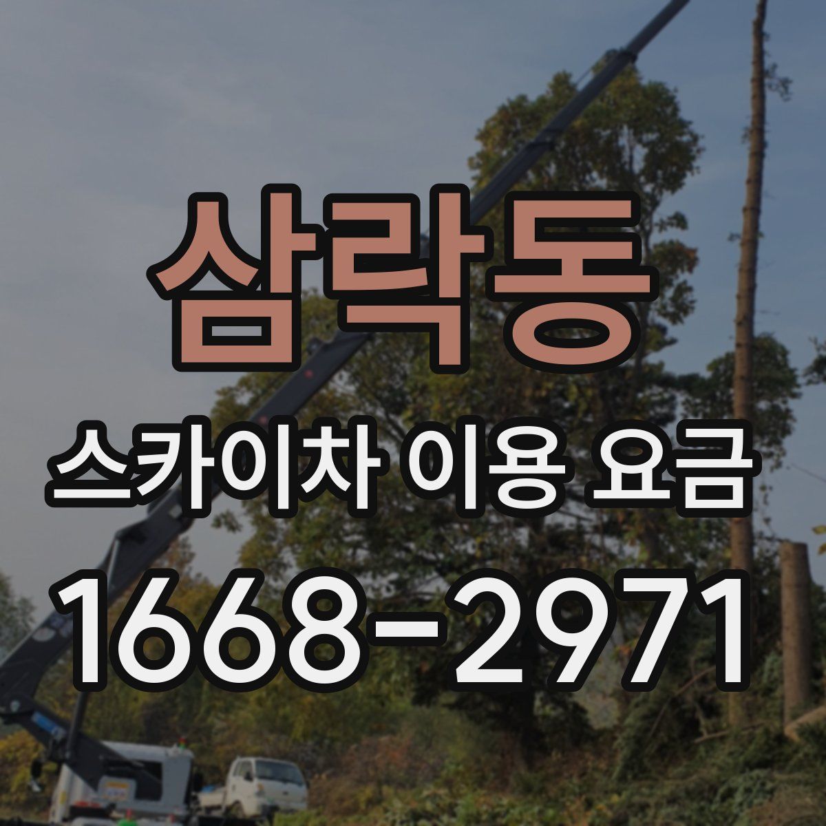 삼락동 스카이차 이용 요금