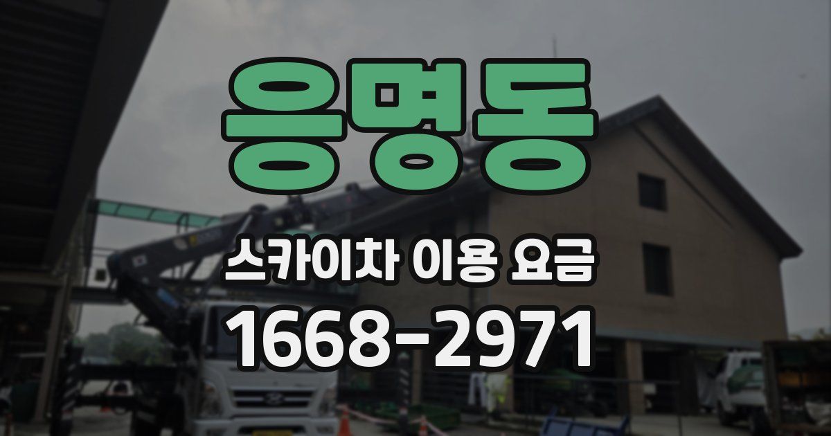 응명동 스카이차 이용 요금