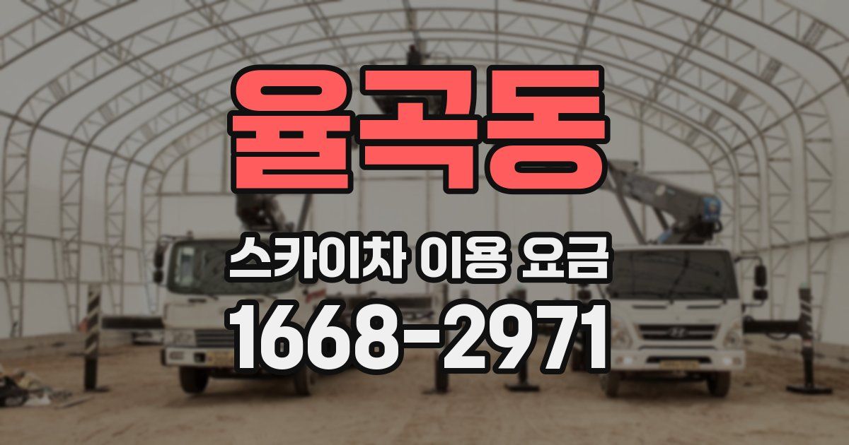 율곡동 스카이차 이용 요금
