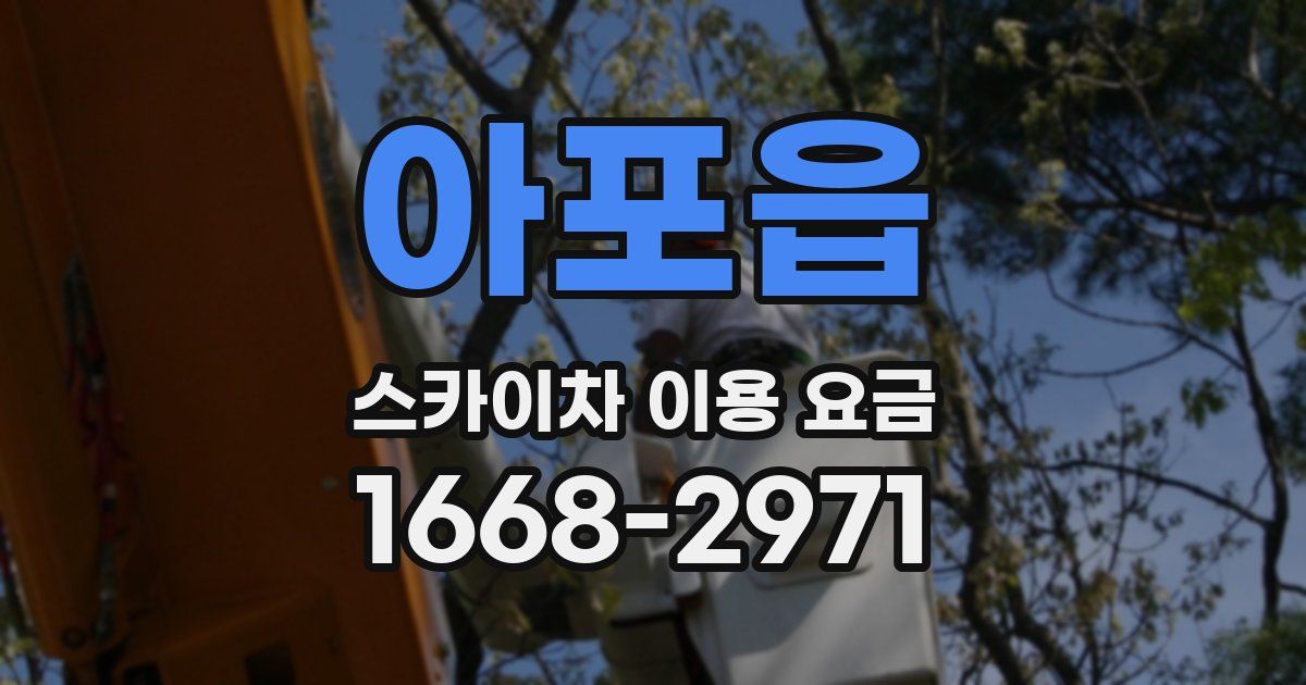 아포읍 스카이차 이용 요금