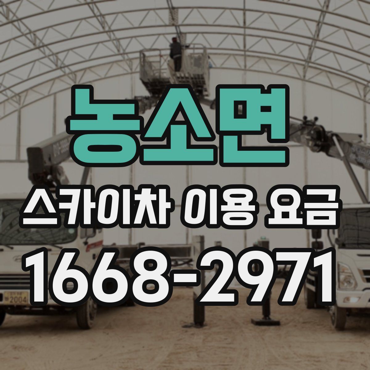 농소면 스카이차 이용 요금