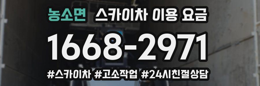 농소면 스카이차 이용 요금