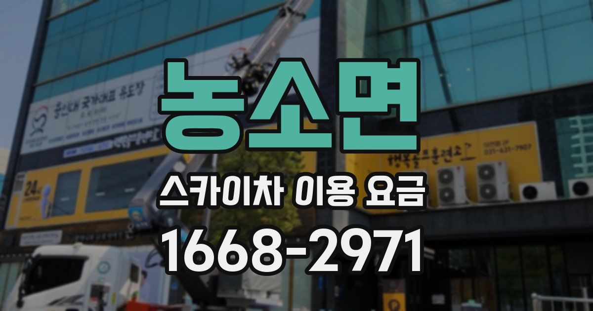 농소면 스카이차 이용 요금