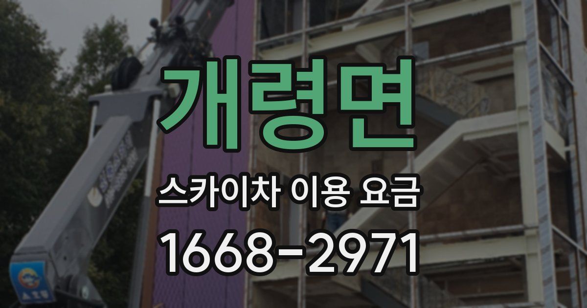 개령면 스카이차 이용 요금