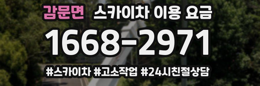감문면 스카이차 이용 요금
