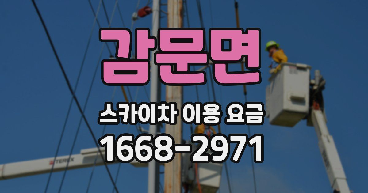 감문면 스카이차 이용 요금