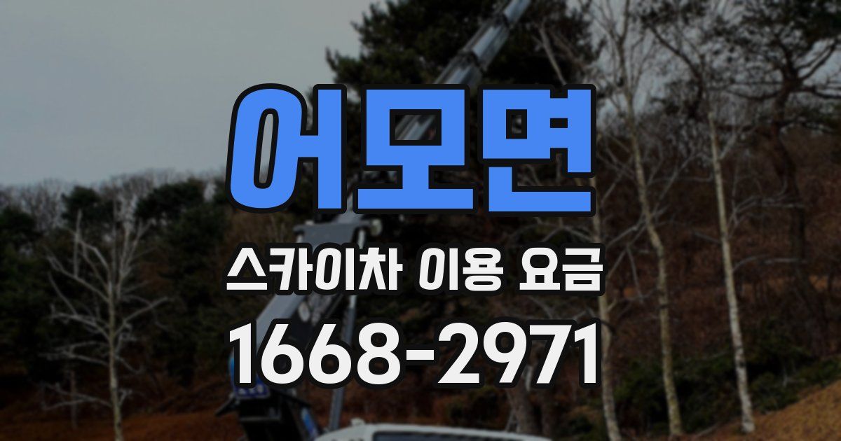 어모면 스카이차 이용 요금