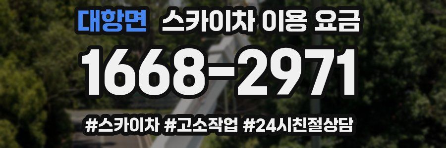 대항면 스카이차 이용 요금