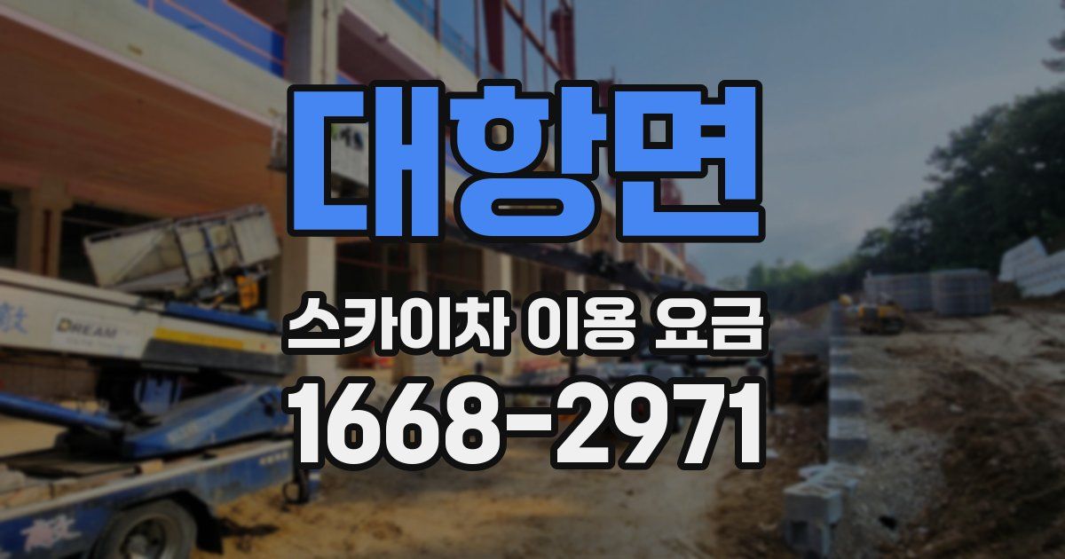 대항면 스카이차 이용 요금