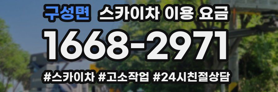 구성면 스카이차 이용 요금
